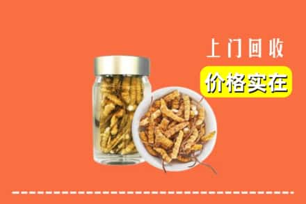 宜宾市回收散虫草