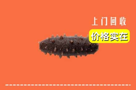宜宾市回收海参