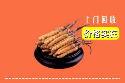 宜宾市回收冬虫夏草