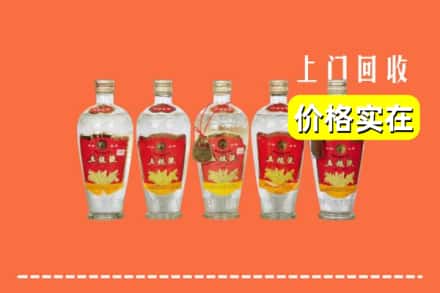 宜宾市回收老五粮液